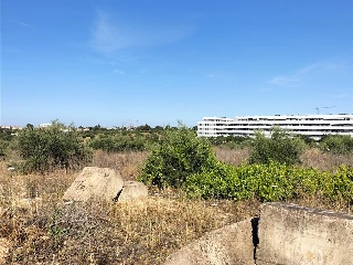 SITIO DEL VALLE 3