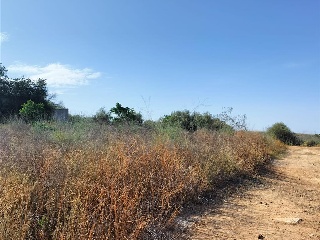 SITIO DEL VALLE 7