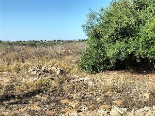 SITIO DEL VALLE 9