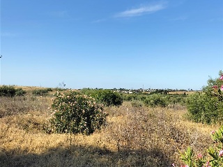 SITIO DEL VALLE 14