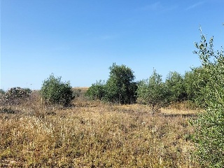 SITIO DEL VALLE 15