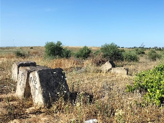 SITIO DEL VALLE 18