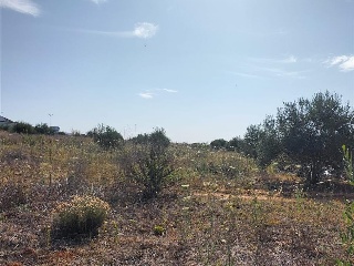SITIO DEL VALLE 23