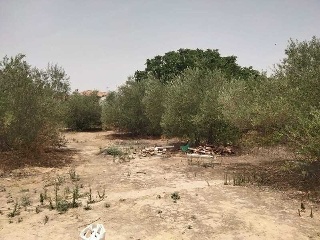 SITIO DEL VALLE 32