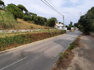 VEINAT VALLDEIX 2