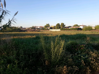 MOLINERA LA 3