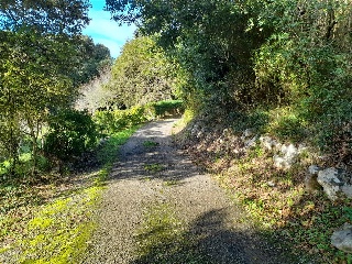 Isla-Barenilla 8