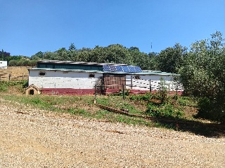 El Lagar De Las Almentas 8