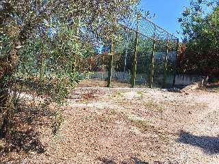El Lagar De Las Almentas 14