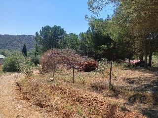 El Lagar De Las Almentas 17