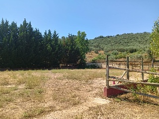 El Lagar De Las Almentas 23