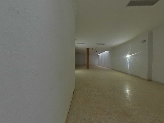 Ramon Y Cajal 11