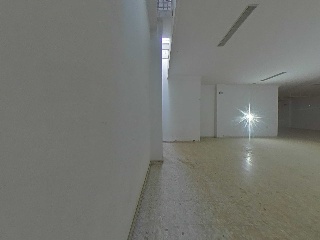 Ramon Y Cajal 12