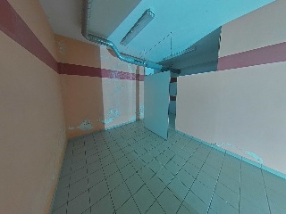  64