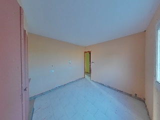 Diseminados 2