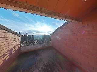 Diseminados 5