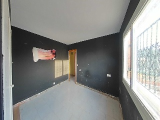 Diseminados 6