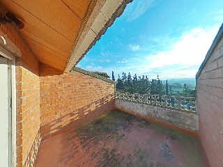 Diseminados 8