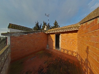 Diseminados 16