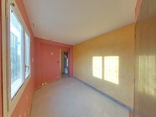 Diseminados 18