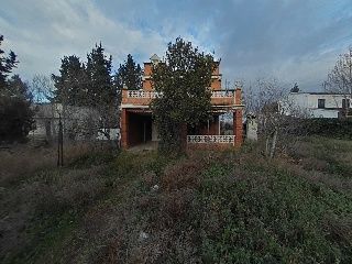 Diseminados 23
