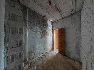 Diseminados 25