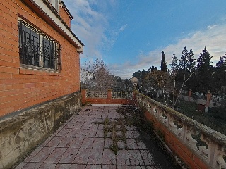 Diseminados 29