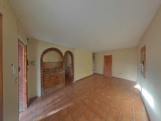 Diseminados 33