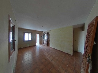 Diseminados 36