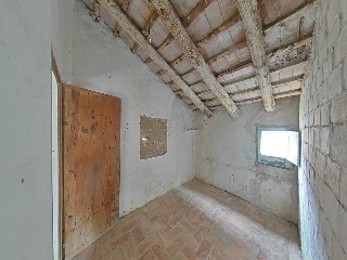 Romelia 5