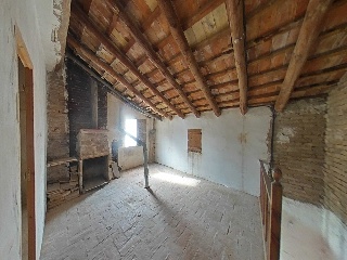 Romelia 16