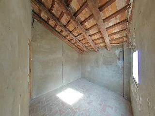 Romelia 19