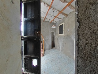 Romelia 31