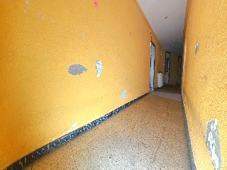 Tudela Pio 8
