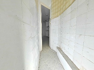 Tudela Pio 12