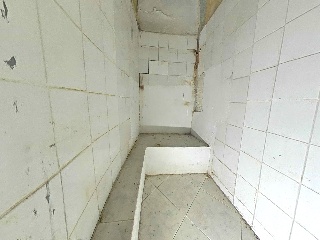 Tudela Pio 14
