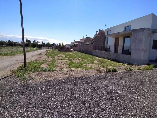 MOSSEN SOL AR FESOL, DE 7