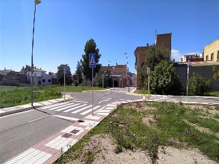 PAU CASALS AR FESOL 2