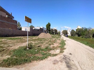PAU CASALS AR FESOL 3