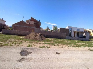 PAU CASALS AR FESOL 4