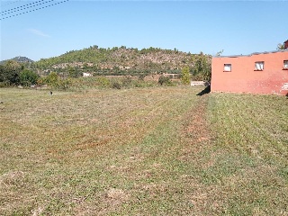 BOLBAITE 6