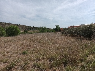 BOLBAITE 8