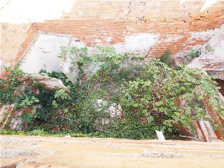 VINHAMALA DEL 9