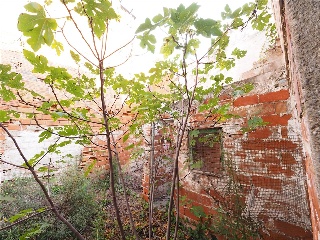 VINHAMALA DEL 11