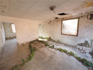 VINHAMALA DEL 13