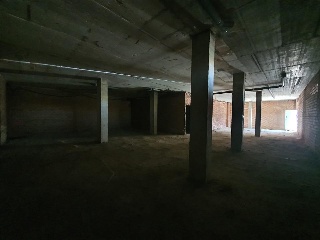 SAN JOSE 11