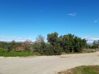 Otros en venta en Peñíscola