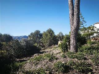 SERRANS D´ELS 12