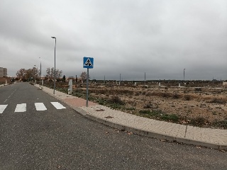 EL GALLITO 3