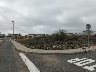 EL GALLITO 5
